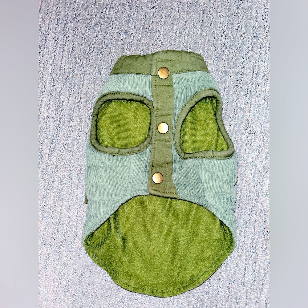 Green dog jacket XS